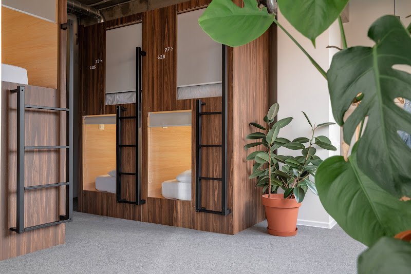 Plants & Friends мини-отель hostel in Sochi