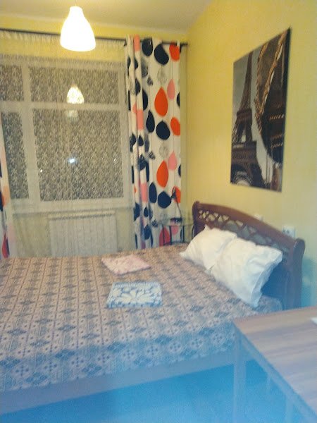 Viking Hostel in Vyazma