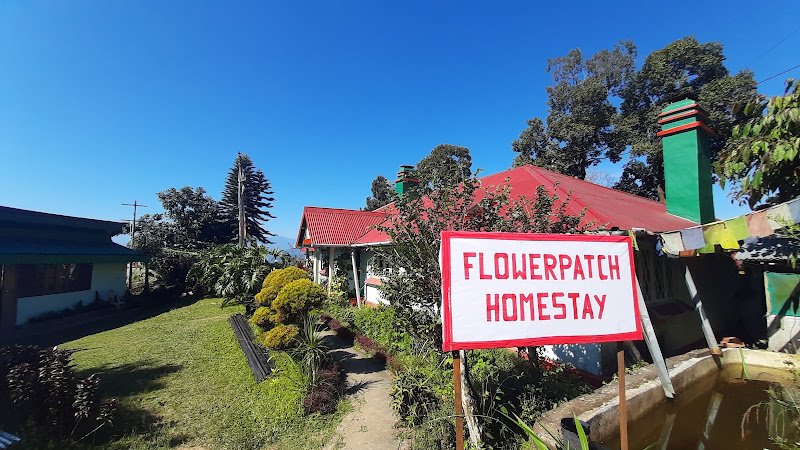 Flower Patch Homestay hostel in Kalimpong