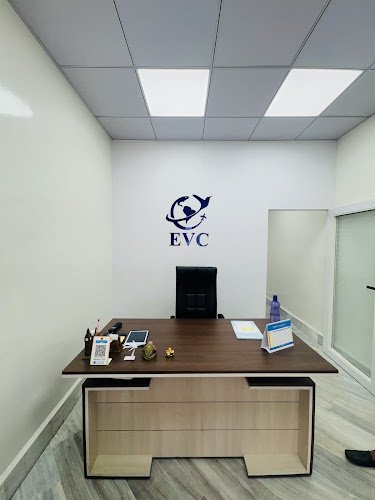 Embassy Visa Consultancy
