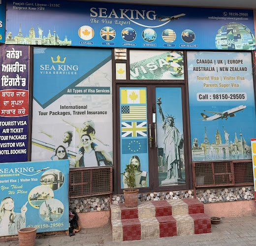 SEAKING IMMIGRATION SERVICES