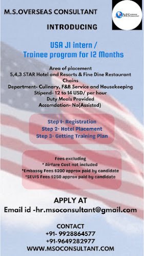 M.S. Overseas Consultant