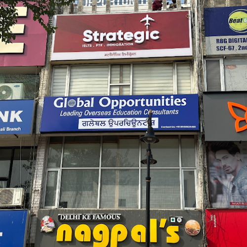 Strategic Immigration | Best Immigration Consultant in Mohali