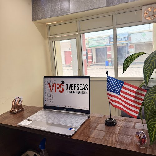 VFS Overseas – Best Study & Immigration Consultants in Mohali | Singapore Visa Experts