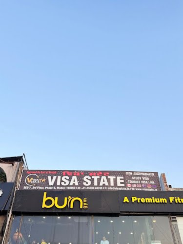 Visa State
