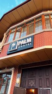 Palm Hostel — photo 3 of 4