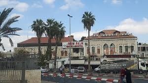 Palm Hostel — photo 1 of 4