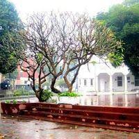 Girls Hostel QAMC — photo 3 of 4