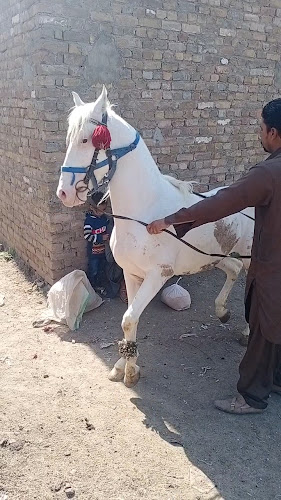 Lal bhage service