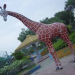 Safari Park Karachi